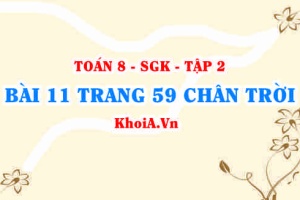 Bài 11 trang 59 Toán 8 Chân trời sáng tạo Tập 2